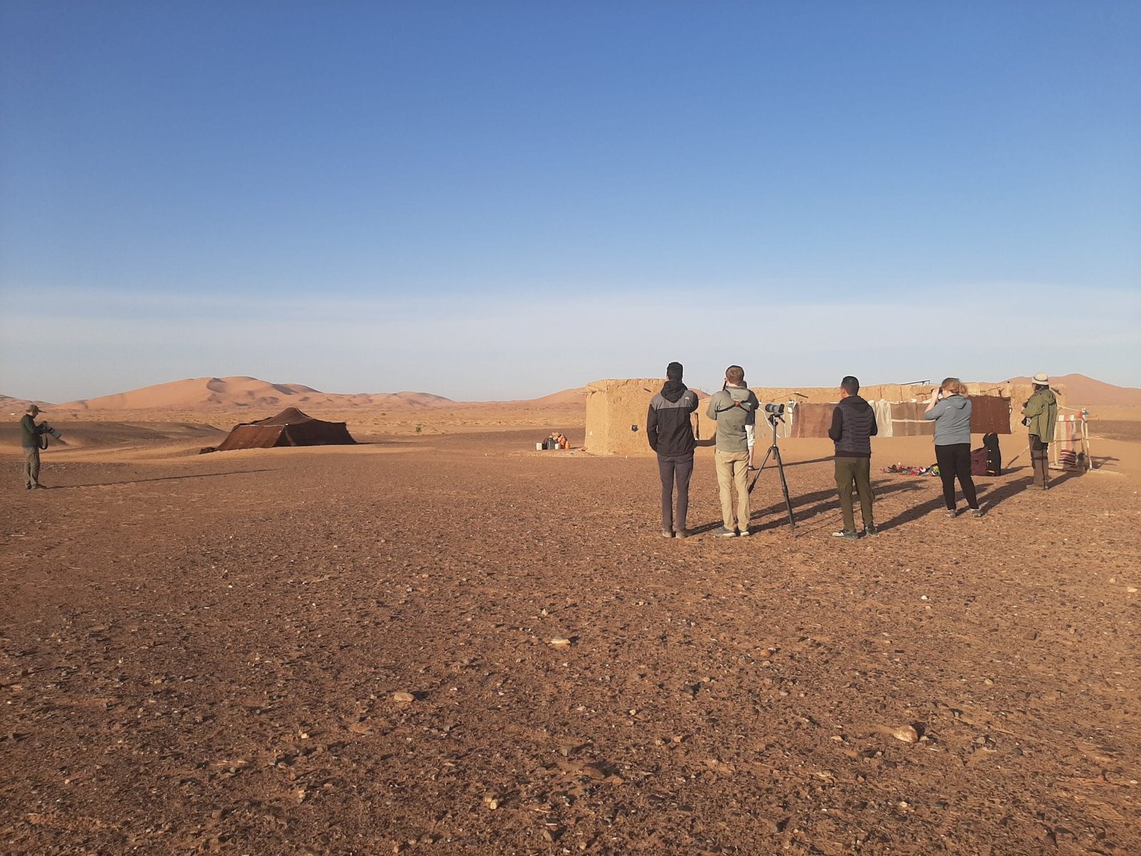a birdwatching journey; About Morocco Sahara Desert