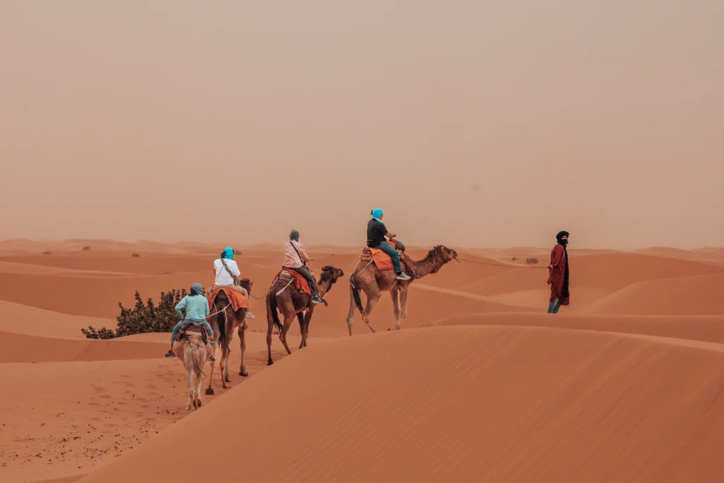 Sunset Camel Trek in the Moroccan Sahara Desert