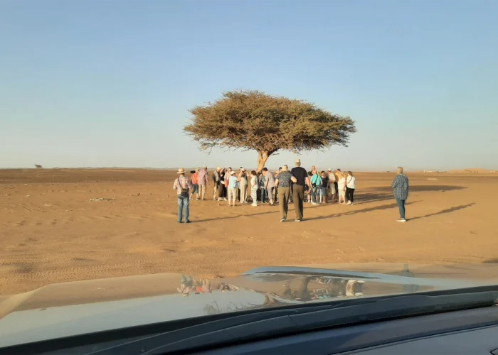 7-Day Morocco Tour from Marrakech