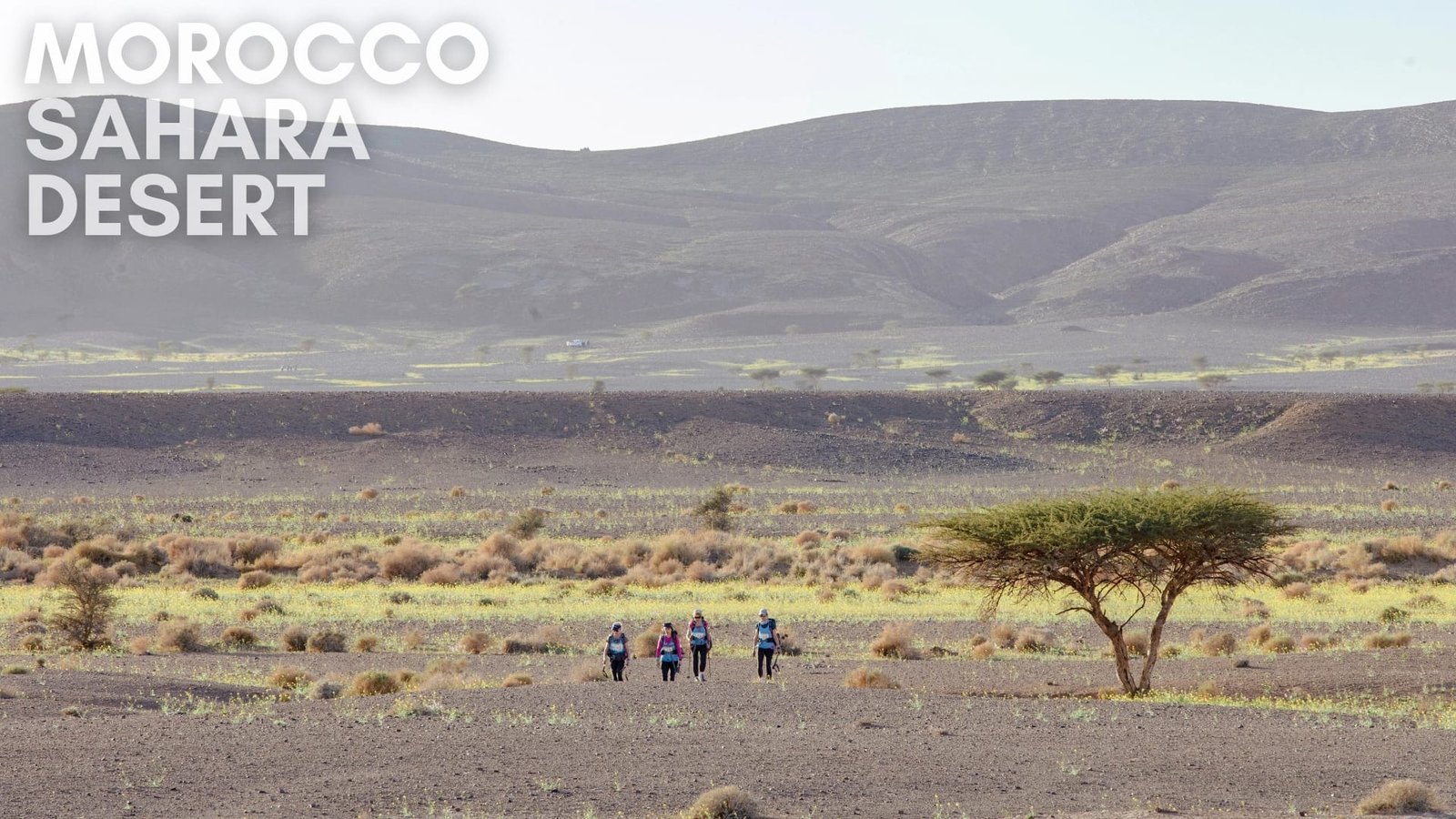 Hiking in Sahara Desert