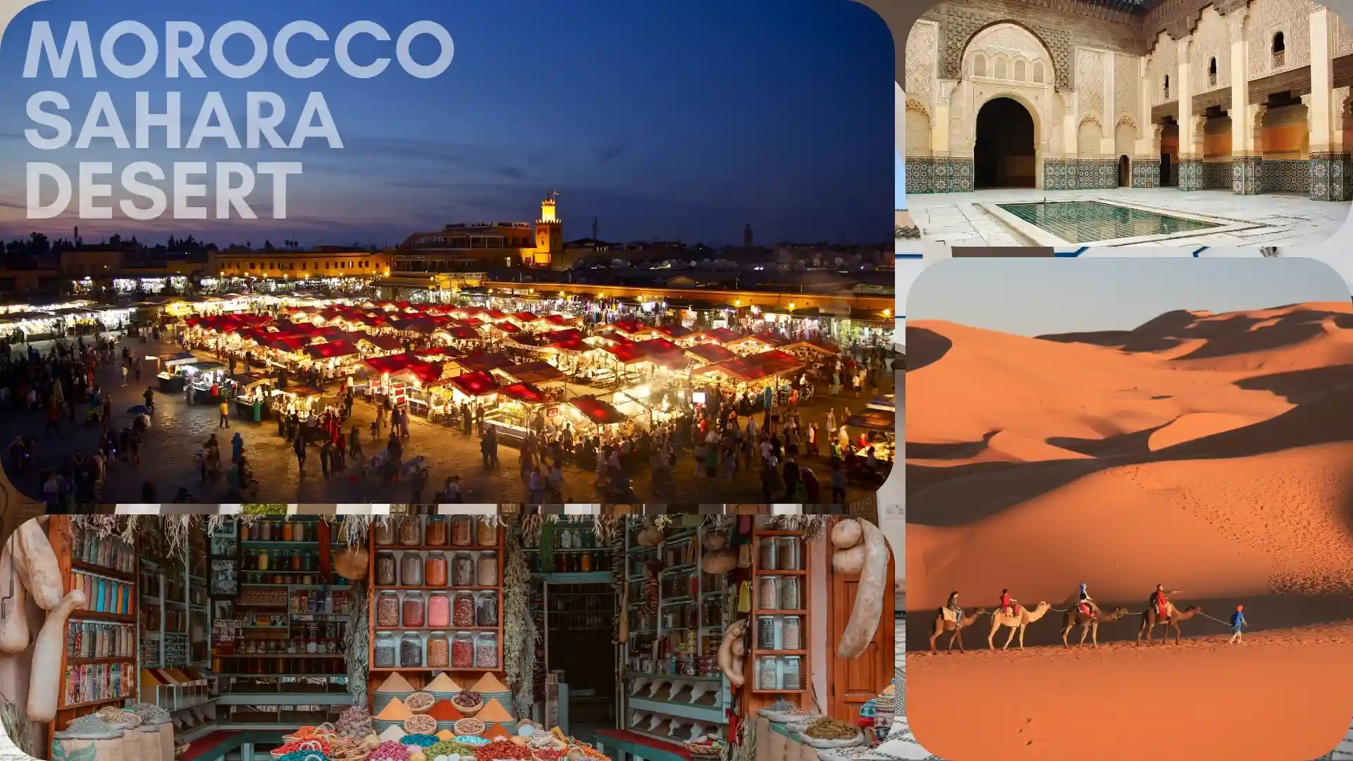 a mix picture during our 11 day morocco sahara desert trip